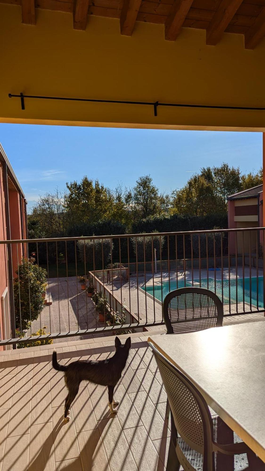 Agriturismo Ai Tre Fienili Ponti sul Mincio Exterior foto